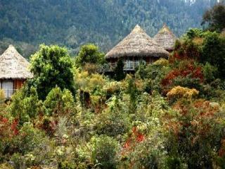 Baliem Valley Resort Wamena Exterior photo